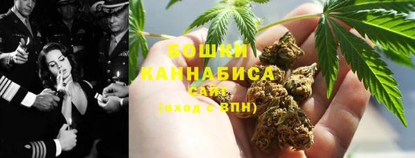 индика Балахна