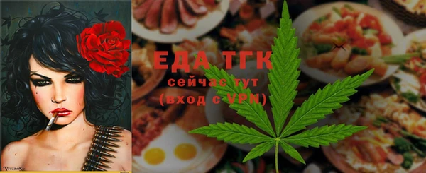 индика Балахна