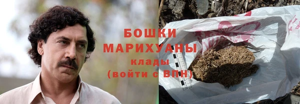 ПСИЛОЦИБИНОВЫЕ ГРИБЫ Баксан