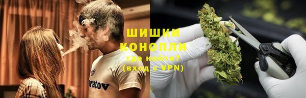 ПСИЛОЦИБИНОВЫЕ ГРИБЫ Баксан