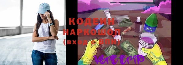 индика Балахна