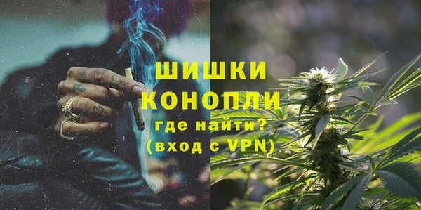 ПСИЛОЦИБИНОВЫЕ ГРИБЫ Баксан