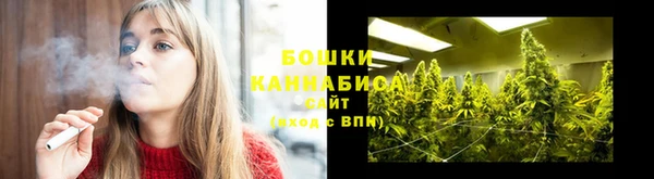 индика Балахна