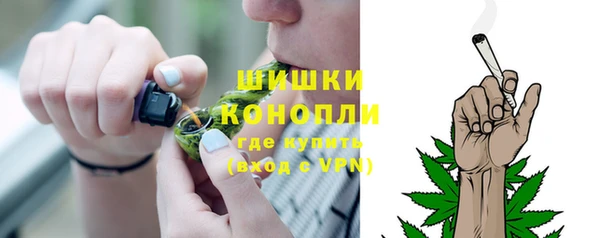 индика Балахна