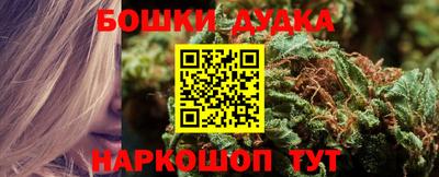 стаф Бузулук