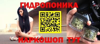 стаф Бузулук