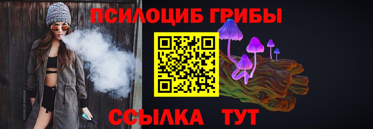 Кунгур  продажа наркотиков  Вход с VPN  Псилоцибиновые грибы Cubensis 